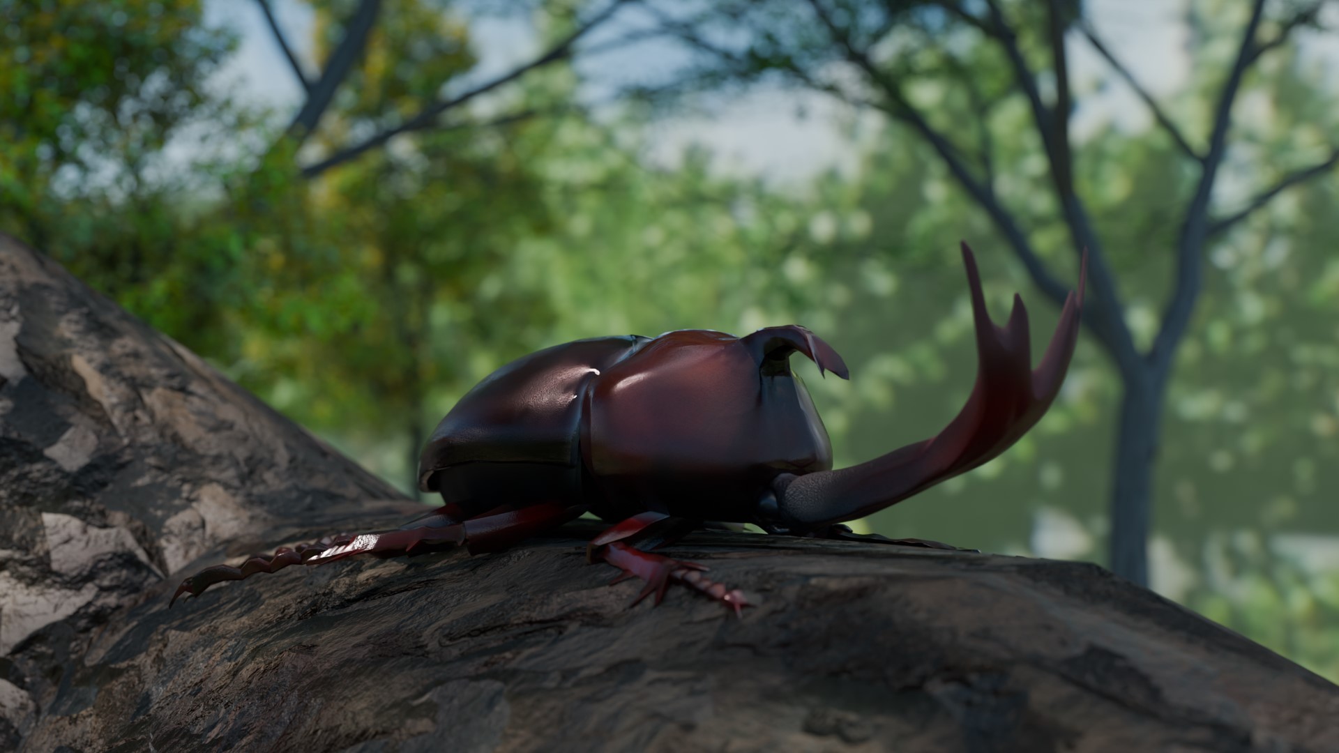 カブトムシのモデリング